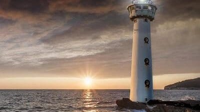 Light Center Dues (Directors Only)