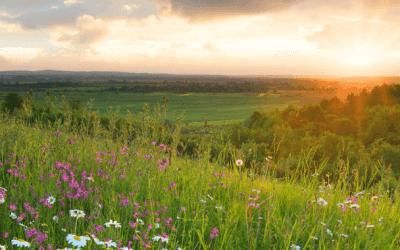 Mystical & Metaphysical Experiences